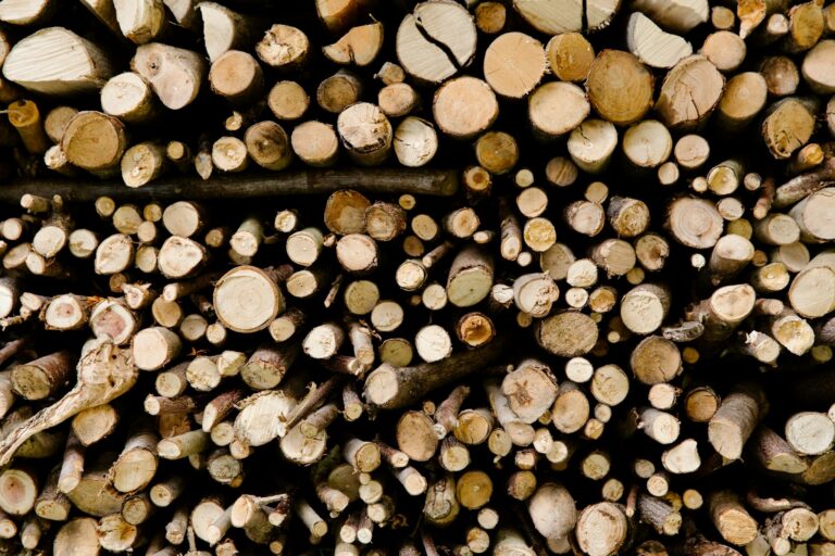 Close-up of neatly stacked chopped firewood logs showing natural wood texture for heating or crafting.