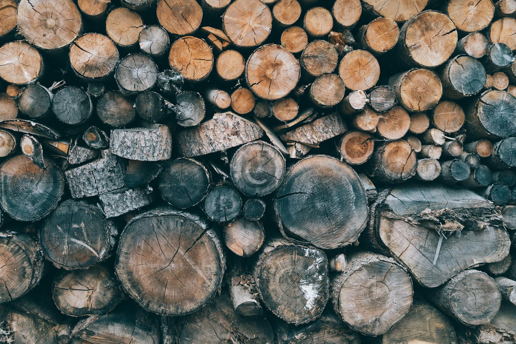 Close-up view of a neatly stacked pile of chopped firewood logs, showcasing natural textures.