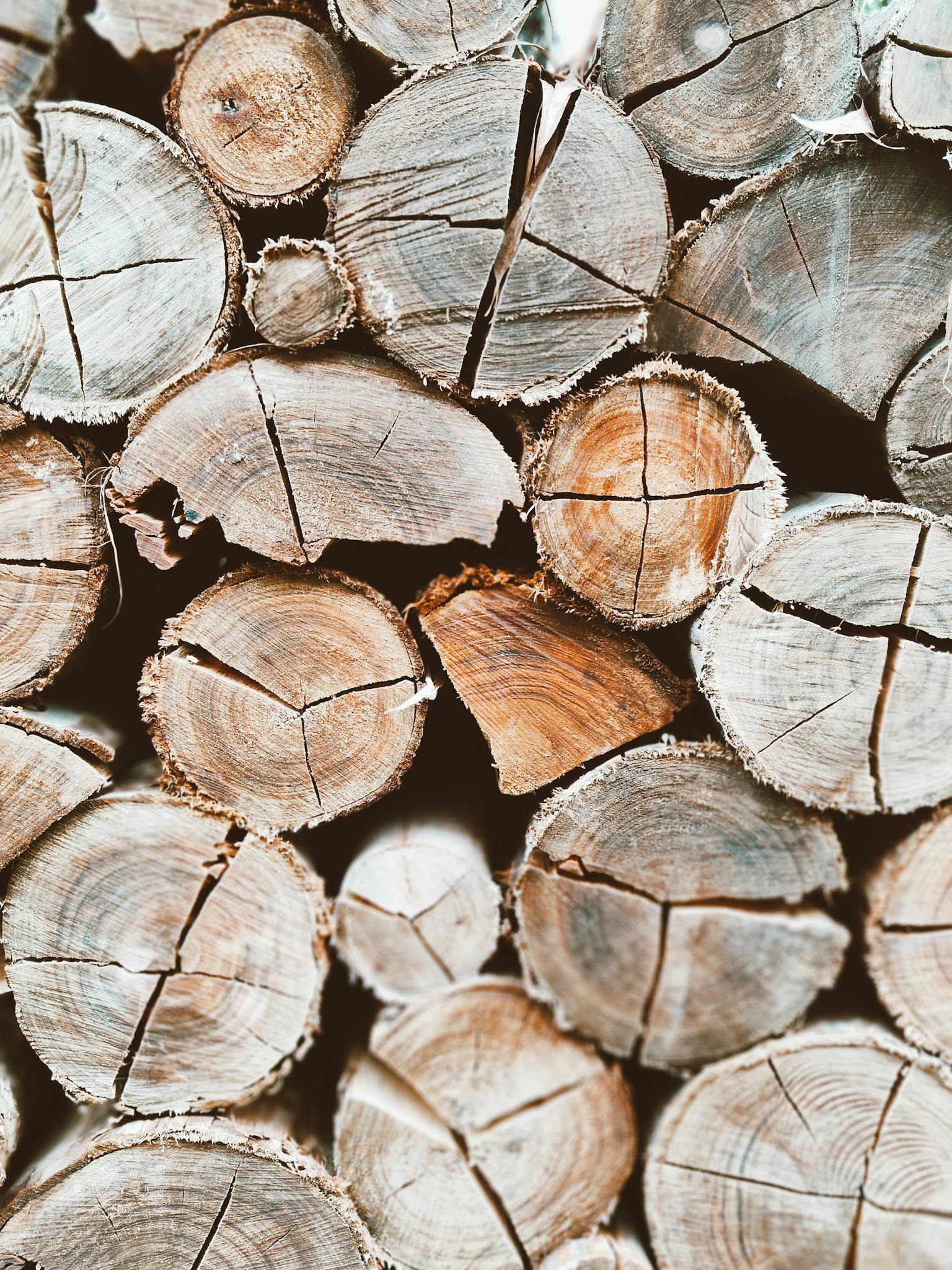 Detailed view of stacked firewood logs showcasing natural wood textures.